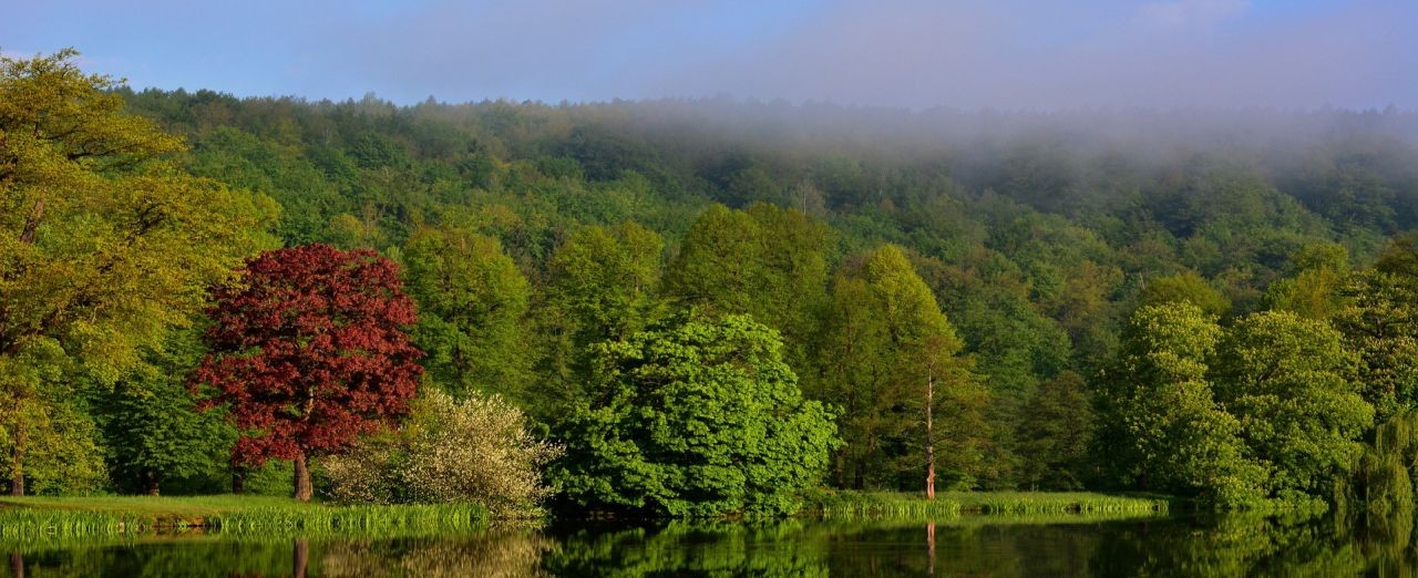 park-lake-4218735_1920